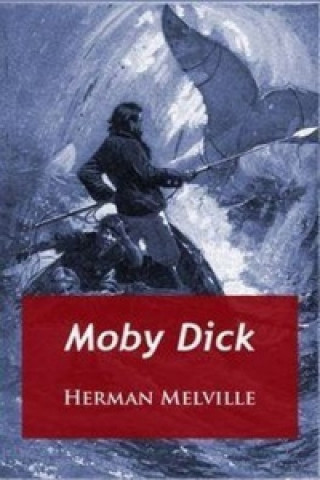 Carte Moby Dick 