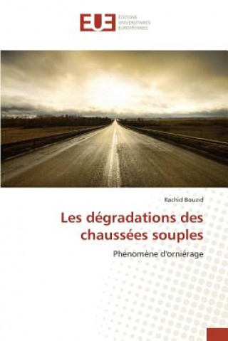 Könyv Les degradations des chaussees souples Bouzid Rachid
