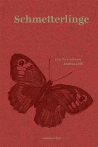 Kniha Schmetterlinge Andrea Grill