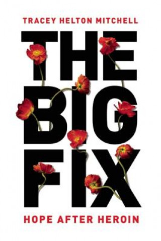 Kniha Big Fix Tracey Helton Mitchell