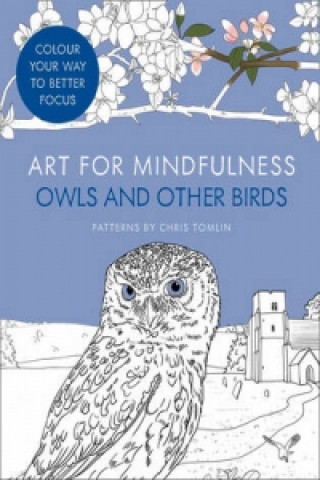 Libro Art for Mindfulness: Owls and Other Birds Chris Tomlin