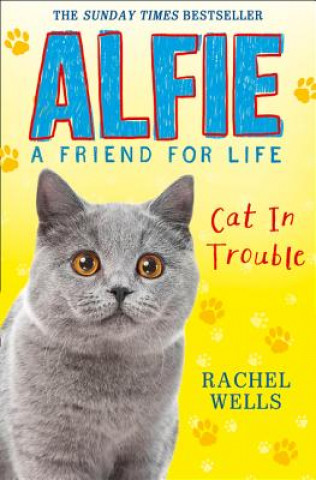 Carte Alfie Cat in Trouble Rachel Wells