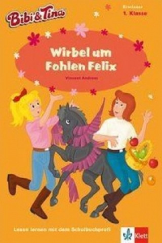 Könyv Bibi & Tina: Ein Herz für Pferde Vincent Andreas