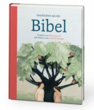 Carte Geschichten aus der Bibel Heinz Janisch