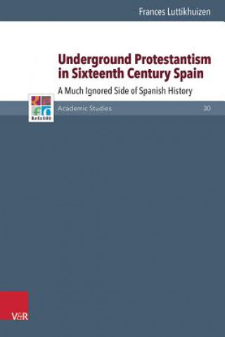 Buch Underground Protestantism in Sixteenth Century Spain Frances Luttikhuizen