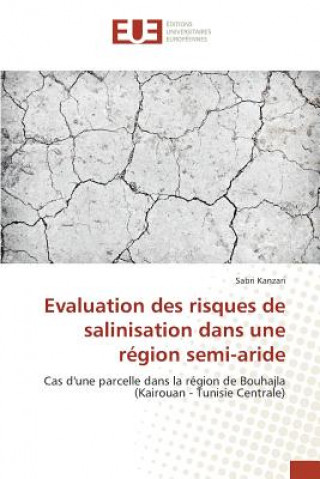 Kniha Evaluation des risques de salinisation dans une region semi-aride Kanzari Sabri