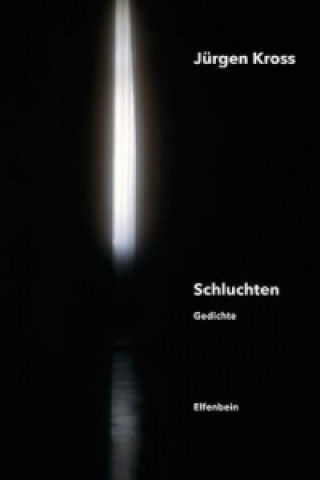 Книга Schluchten Jürgen Kross