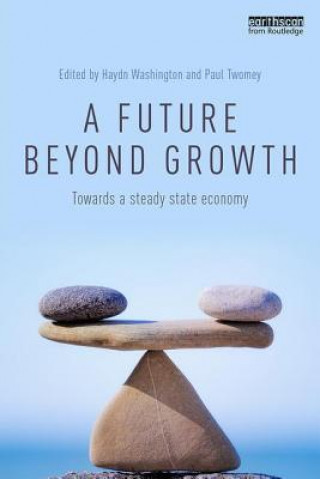 Kniha Future Beyond Growth Haydn Washington
