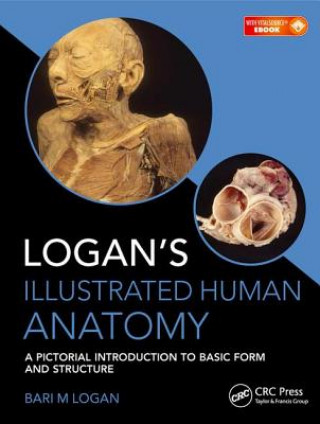 Книга Logan's Illustrated Human Anatomy Bari M. Logan