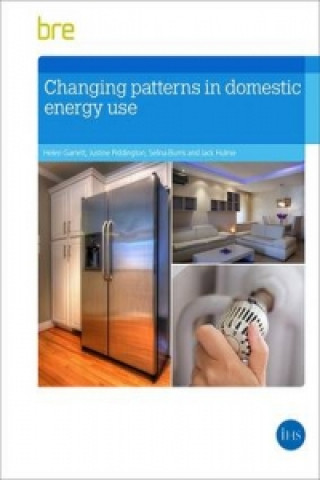 Könyv Changing patterns in domestic energy use Helen Garrett