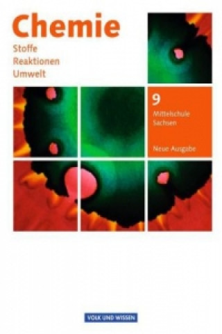 Könyv Chemie: Stoffe - Reaktionen - Umwelt (Neue Ausgabe) - Mittelschule Sachsen - 9. Schuljahr Barbara Arndt