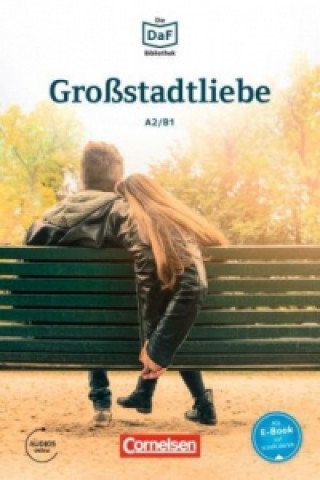 Knjiga Grossstadtliebe - Geschichten aus dem Alltag der Familie Schall Christian Baumgarten