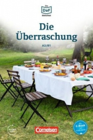 Könyv Die  Uberraschung - Geschichten aus dem Alltag der Familie Schall Christian Baumgarten