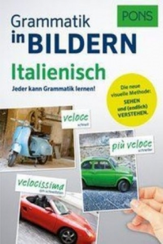 Kniha PONS Bildwörterbuch Deutsch als Fremdsprache 