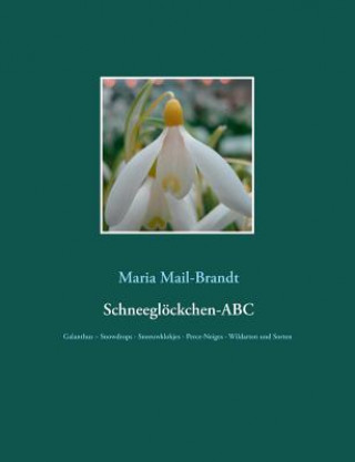 Buch Schneegloeckchen-ABC Maria Mail-Brandt