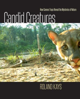 Book Candid Creatures Roland Kays