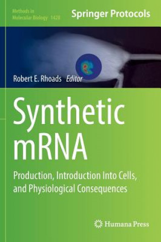 Książka Synthetic mRNA Robert E. Rhoads