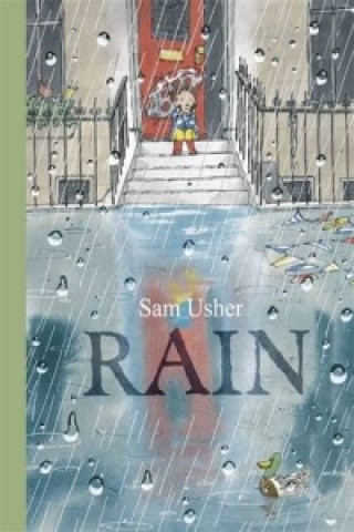 Kniha Rain Sam Usher