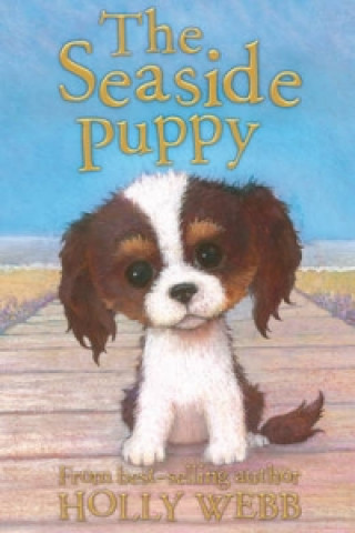 Book Seaside Puppy Holly Webb