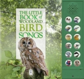 Könyv Little Book of Woodland Bird Songs Andrea Pinnington