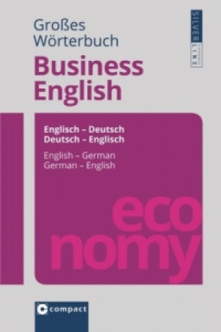 Könyv Großes Wörterbuch Business English Sarah Lewis-Schätz