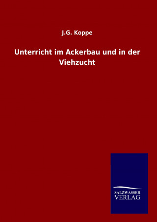 Kniha Die Weltanschauungen der großen Philosophen der Neuzeit J. G. Koppe