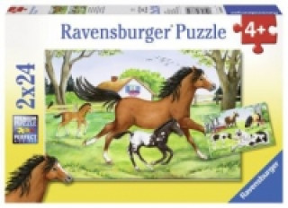 Joc / Jucărie Ravensburger Kinderpuzzle - 08882 Welt der Pferde - Puzzle für Kinder ab 4 Jahren, mit 2x24 Teilen 
