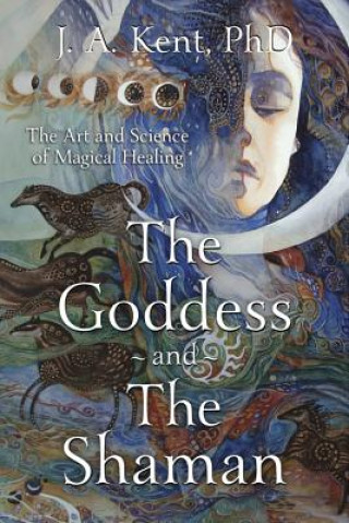 Kniha Goddess and the Shaman J A Kent