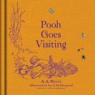 Könyv Winnie-the-Pooh: Pooh Goes Visiting A A Milne