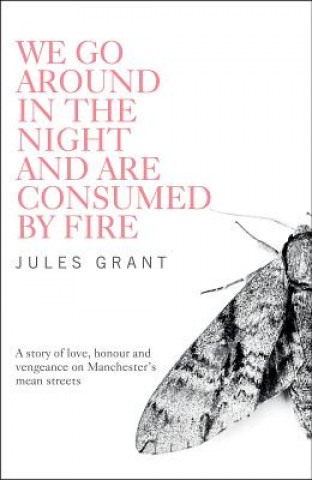 Livre We Go Around in the Night and are Consumed by Fire Jules Grant