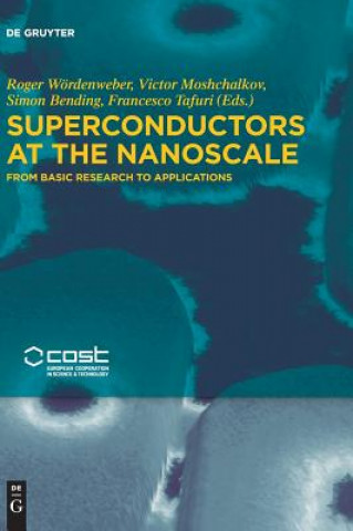 Könyv Superconductors at the Nanoscale Roger Wördenweber