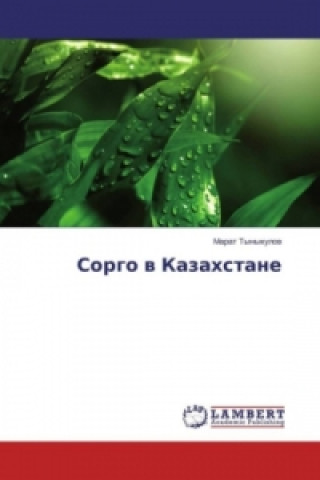 Könyv Sorgo v Kazahstane Marat Tynykulov