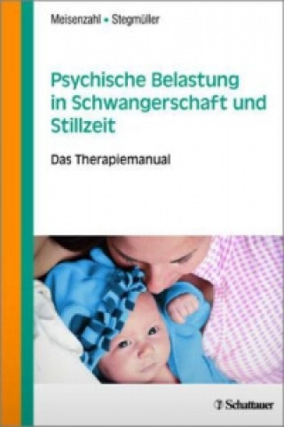 Kniha Psychische Belastung in Schwangerschaft und Stillzeit Eva Meisenzahl