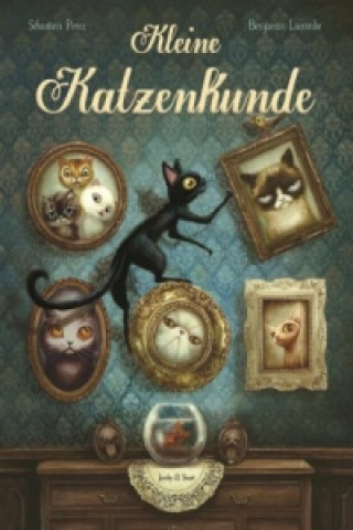Könyv Kleine Katzenkunde Sébastien Perez