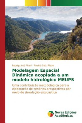 Carte Modelagem Espacial Dinamica acoplada a um modelo hidrologico MEUPS Pisani Rodrigo Jose