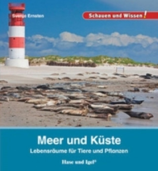 Kniha Meer und Küste Svenja Ernsten