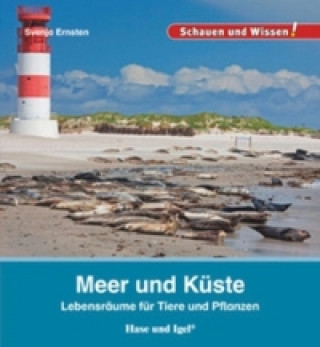 Carte Meer und Küste Svenja Ernsten