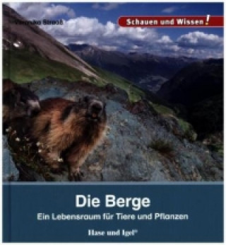 Könyv Die Berge Veronika Straaß