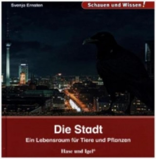 Kniha Die Stadt Svenja Ernsten