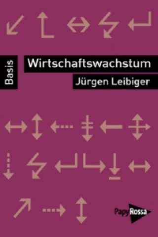 Kniha Wirtschaftswachstum Jürgen Leibiger