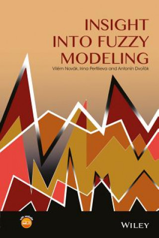 Könyv Insight into Fuzzy Modeling Vilm Novák