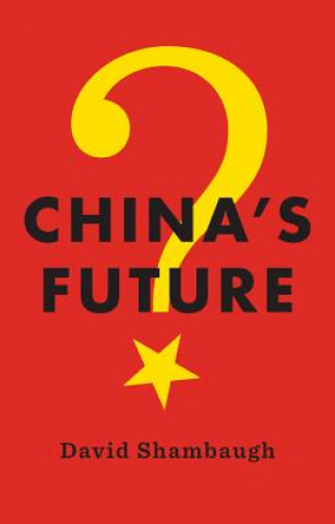 Kniha China's Future David Shambaugh