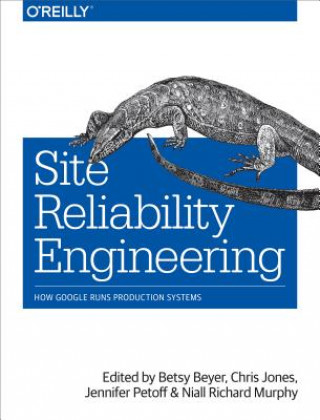 Knjiga Site Reliability Engineering Betsy Beyer