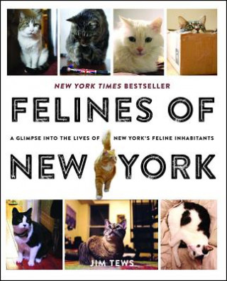 Kniha Felines of New York Jim Tews