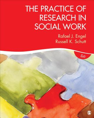 Knjiga Practice of Research in Social Work Rafael J Engel