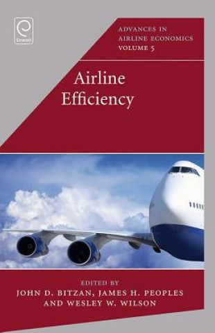Könyv Airline Efficiency John Bitzan