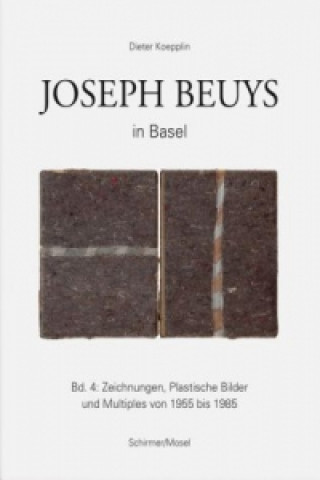 Książka Zeichnungen, Plastische Bilder und Multiples von 1955 bis 1985 Dieter Koepplin