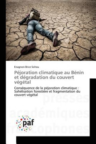 Kniha Pejoration climatique au Benin et degradation du couvert vegetal Sohou Enagnon Brice