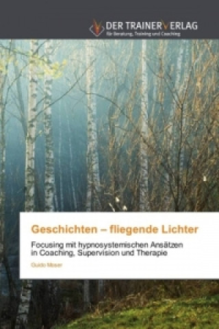 Könyv Geschichten - fliegende Lichter Guido Moser