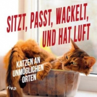 Buch Sitzt, passt, wackelt und hat Luft 